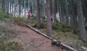 Trail Walking Malmedy - bernister - Photo 2