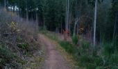 Trail Walking Malmedy - bernister - Photo 1