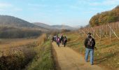 Tour Wandern Mittelbergheim - 18.11.22.Barr  - Photo 5