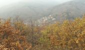 Tour Wandern Mittelbergheim - 18.11.22.Barr  - Photo 4