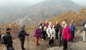 Tour Wandern Mittelbergheim - 18.11.22.Barr  - Photo 3