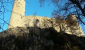 Tour Wandern Mittelbergheim - 18.11.22.Barr  - Photo 1