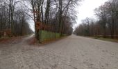 Trail Walking Chantilly - Dans la forêt de Chantilly - Photo 4