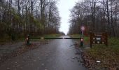 Trail Walking Chantilly - Dans la forêt de Chantilly - Photo 3