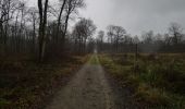 Trail Walking Chantilly - Dans la forêt de Chantilly - Photo 2