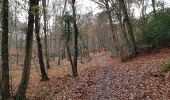 Trail Walking Oissel - oissel - Photo 2