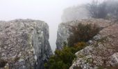 Excursión Senderismo Davayé - Ascension des roches de Solutré et de Vergisson - Davayé - Photo 6