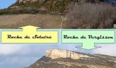Randonnée Marche Davayé - Ascension des roches de Solutré et de Vergisson - Davayé - Photo 3