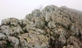 Randonnée Course à pied Davayé - Ascension des roches de Solutré et de Vergisson - Davayé - Photo 5