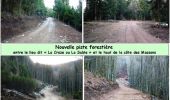 Randonnée Marche Les Noës - Nouvelle Piste Forestière entre le Rocher de Rochefort et le Plan du Grand Jonc - Photo 4