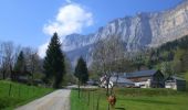 Excursión Senderismo Plateau-des-Petites-Roches - Sur les Pas des Huguenots - Saint-Bernard - Barraux - Photo 4