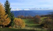 Randonnée Marche Plateau-des-Petites-Roches - Sur les Pas des Huguenots - Saint-Bernard - Barraux - Photo 2