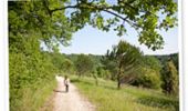 Trail Walking Bouliac - Circuit du parc de Loc Boué - Bouliac - Photo 1