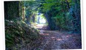 Randonnée Marche Bouliac - Circuit de Mélac - Bouliac - Photo 1