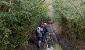 Excursión Senderismo La Chapelaude - Randonnée La Chapelaude - Photo 2