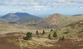 Excursión Senderismo Durtol - Tour du Puy de Dôme - Photo 3