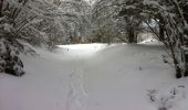 Trail Snowshoes Saint-Genès-Champanelle - Le Puy de Lassolas depuis Laschamps - Photo 6