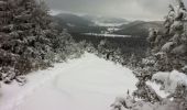 Tocht Sneeuwschoenen Saint-Genès-Champanelle - Le Puy de Lassolas depuis Laschamps - Photo 4