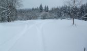 Trail Snowshoes Orcines - Les bacs de Montmeyre et Ceyssat - Photo 3