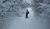 Trail Snowshoes Orcines - Les bacs de Montmeyre et Ceyssat - Photo 2