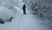 Trail Snowshoes Orcines - Les bacs de Montmeyre et Ceyssat - Photo 1