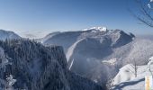 Trail Snowshoes Saint-Christophe-sur-Guiers - Le Belvédère d'Arpison en raquettes, depuis la Ruchère - Photo 1