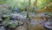 Trail Walking La Grande-Verrière - 181004 EnCours-2 - Photo 18