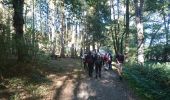 Trail Walking Montsauche-les-Settons - 181005 EnCours-2 - Photo 16