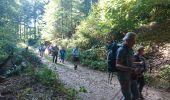 Trail Walking La Grande-Verrière - 181006 EnCours-2 - Photo 19