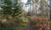 Trail Walking Ham-sur-Heure-Nalinnes -  Balade en forêt à Ham-sur-Heure - Photo 3
