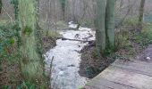 Trail Walking Ham-sur-Heure-Nalinnes -  Balade en forêt à Ham-sur-Heure - Photo 5