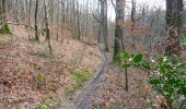 Percorso Marcia Ham-sur-Heure-Nalinnes -  Balade en forêt à Ham-sur-Heure - Photo 1