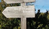 Randonnée Marche Coursegoules - Bois de Garavagne (Bau St Jean)  - Photo 12