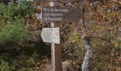 Trail Walking Coursegoules - Bois de Garavagne (Bau St Jean)  - Photo 8