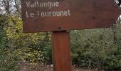 Excursión Senderismo Coursegoules - Bois de Garavagne (Bau St Jean)  - Photo 4