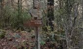 Trail Walking Coursegoules - Bois de Garavagne (Bau St Jean)  - Photo 3