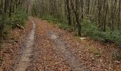 Trail Walking Coursegoules - Bois de Garavagne (Bau St Jean)  - Photo 2
