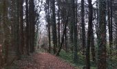 Percorso Camminata nordica Voeren - fourons_saint_martin_02_12_2018 - Photo 16