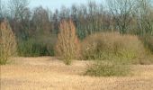 Tocht Stappen Bernissart - Harchies. Natura 2000, des sites qui valent le détour. HT1 - Photo 5