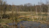 Tocht Stappen Blieberg - Plombière. Natura 2000, des sites qui valent le détour. Lg2 - Photo 8