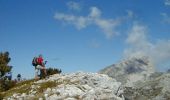 Tour Wandern Chichilianne - Au pied du Mont-Aiguille - Randonnée GPS - Photo 3