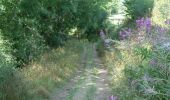 Trail Walking Le Puy-en-Velay - Puy en velay - St Privat d'Allier - Chemin de Compostelle - Photo 2