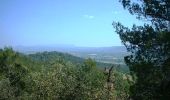 Excursión Bici de montaña Cadenet - La Soupe aux Choux 2006 - 25km - Photo 2