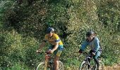 Tour Mountainbike Assis-sur-Serre - La butte des Templiers - Photo 2