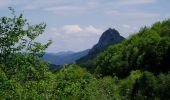 Randonnée Marche Montségur - Chemin des Bonhommes - Montsegur Comus - Photo 1