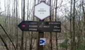 Percorso Marcia Nassogne - GRUNE ... par la vallée du Cheveni. - Photo 2