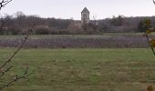 Tour Wandern Doué-en-Anjou - Doué- Montreuil  - Photo 3