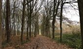 Trail Walking Ypres - Ypres Yper 19 km - Photo 9