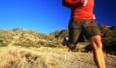 Trail Running Lavelanet - Trail des Citadelles 2007 - 42km - Photo 1