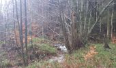Trail Nordic walking Jalhay - Herbiester_09_12_2018 - Photo 5